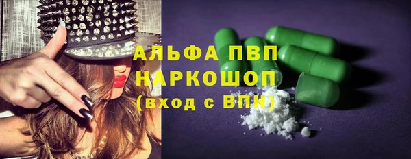 шишки Новокубанск
