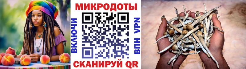 Купить закладки  Ленск  Галлюциногенные грибы мицелий 