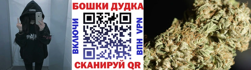 Купить где  Ленск  Канабис SATIVA & INDICA 